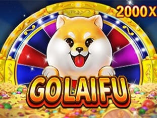 Golaifu thumbnail